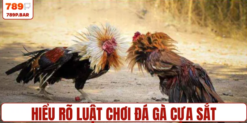 Hiểu rõ luật chơi đá gà cựa sắt để thắng lớn