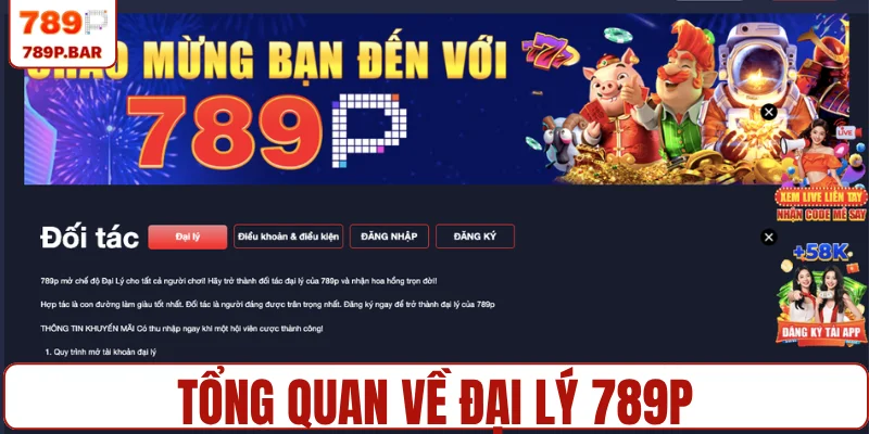 Tổng quan về đại lý 789P